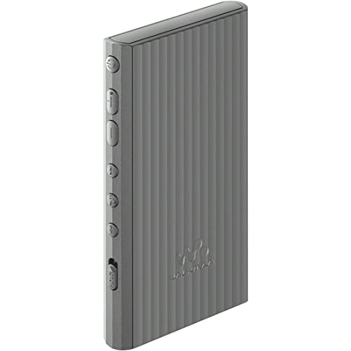 SONY Walkman 32GB A300 Series NW-A306 : Wireless also Hi-Res