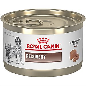 Royal Canin Veterinary Diet Recovery RS Canned Dog & Cat Food