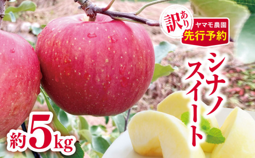 苺&ライム様ご予約品 かじり木 りんごの細枝 太さ1〜3mm 500本 楽天