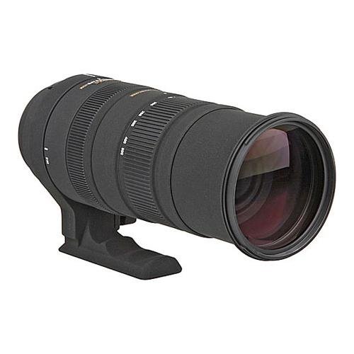 Amazon.com : Sigma 150-500mm f/5-6.3 AF APO DG OS HSM Telephoto