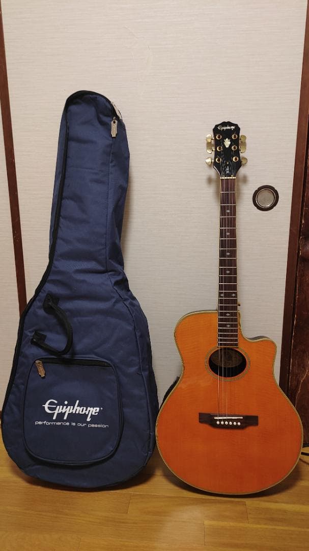 Epiphone El Rio (ケース付き) Epiphone El Rio (ケース付き)